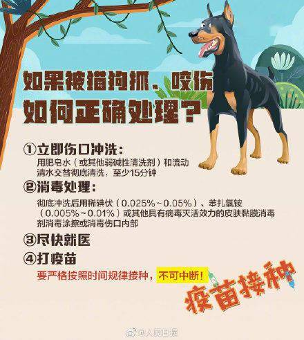 News|病死率几乎100%！关于狂犬病，这些你要知道