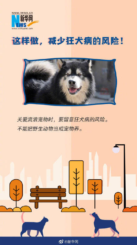 死亡|这些狂犬病常识你一定要了解