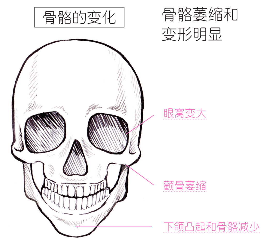 取向男女版“建模脸”审美取向，谁是最佳耐看脸？