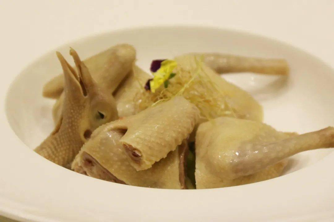 1元吃鸽海量美食券等你来拿石岐乳鸽争霸赛你pick哪款