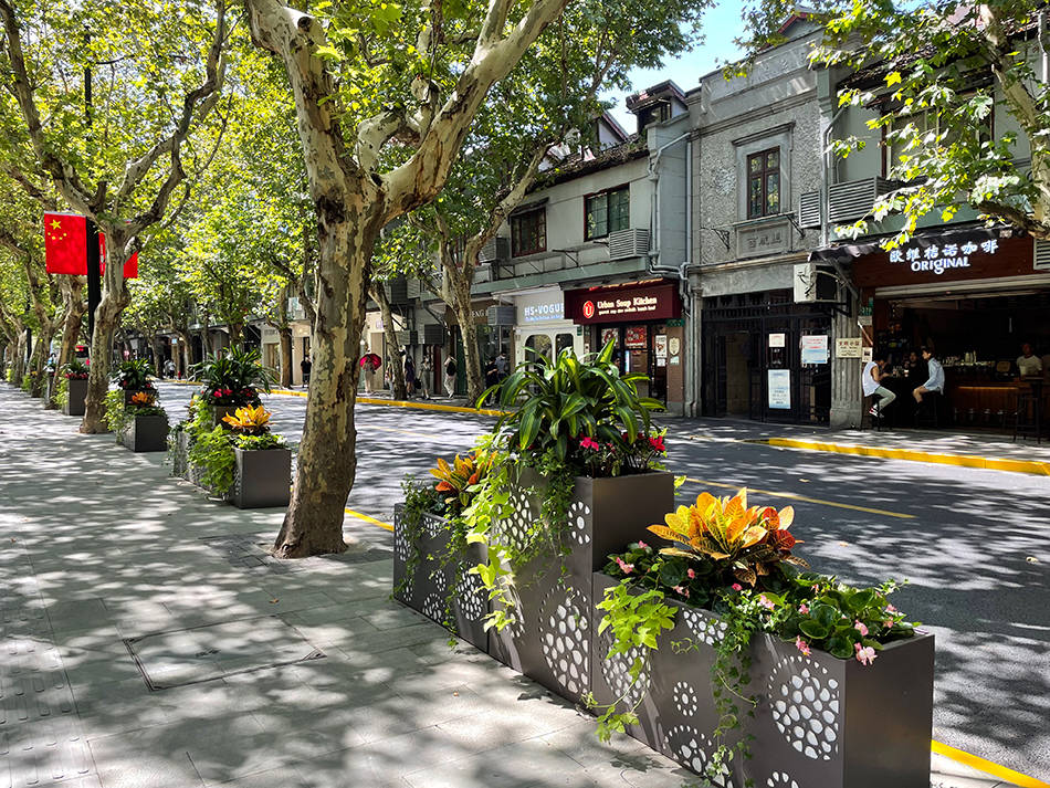 陆家嘴用花拼出1921迎接国庆上海街头花卉焕然一新