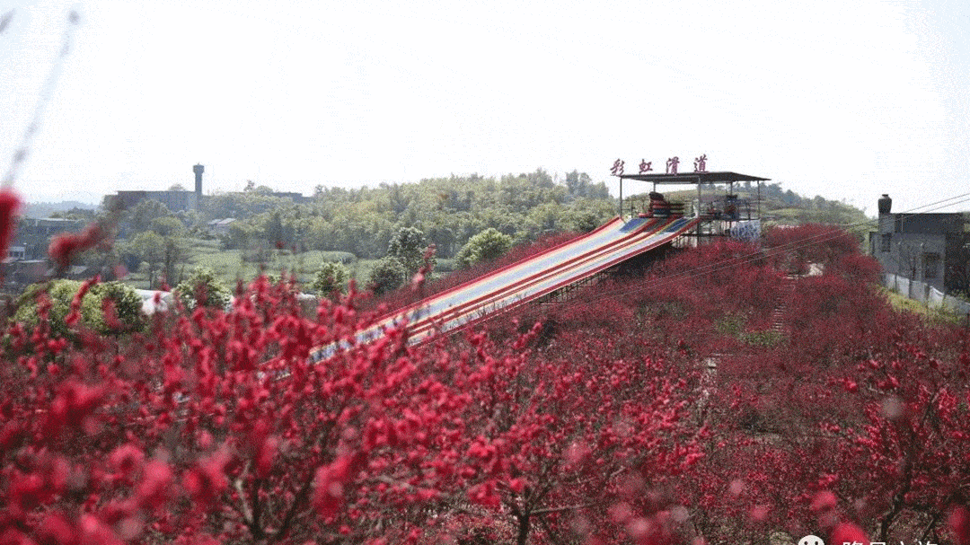 隆昌香溢谷景区的照片图片