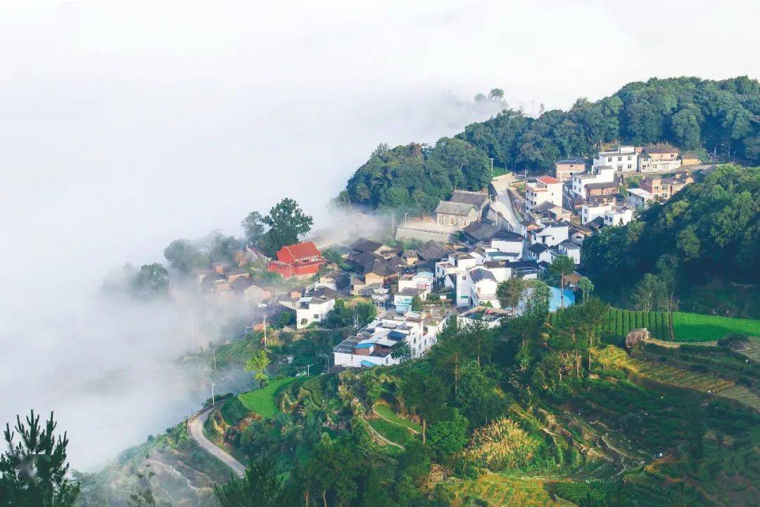 长寿之乡福建柘荣巧绘长寿之乡新图景