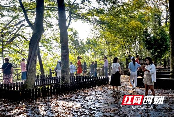 花瑶|“爱家乡 游邵阳”， 邵阳市组织开展走进花瑶游活动有声有色