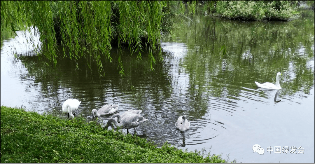 ccf9ae65502f45cca9a5d37bdea76f9f.png