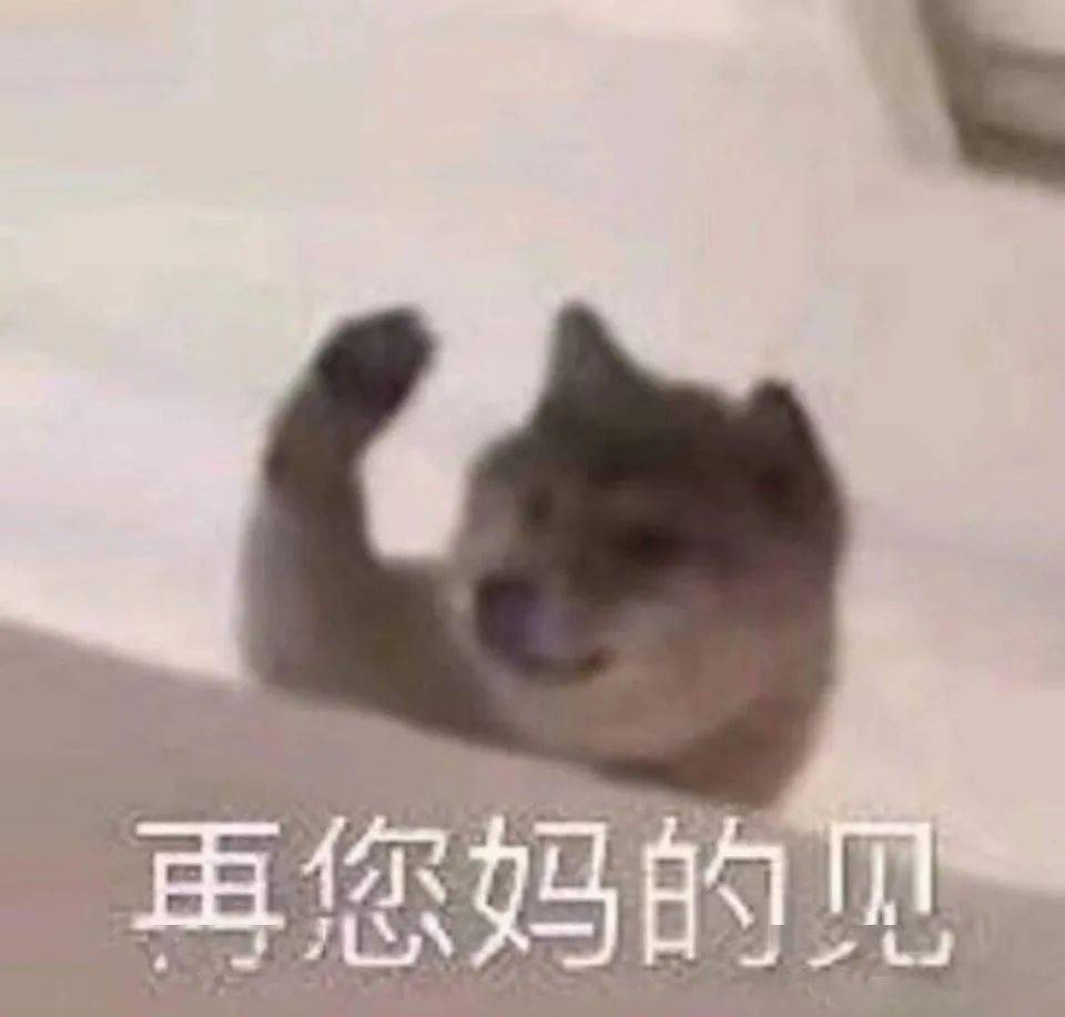 53a08c1817b44d73b591977230fde924.jpeg