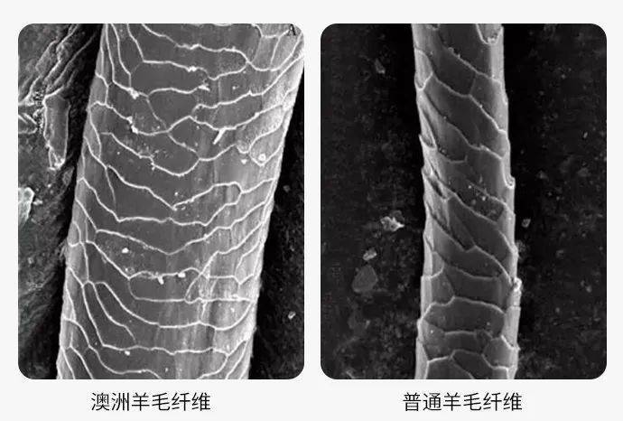 廓形 绒绒糯糯，廓形立体，穿100%澳洲羊毛衫，是美妙享受