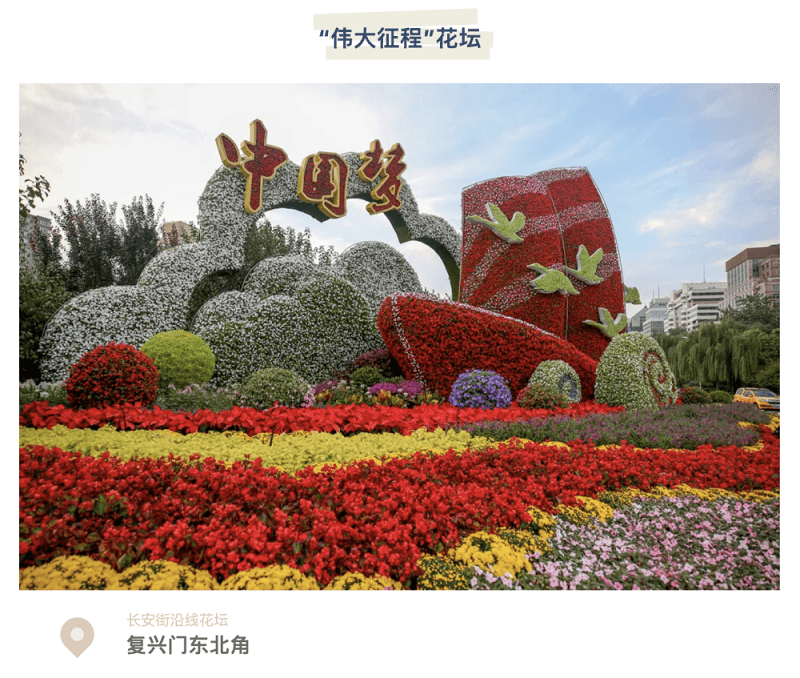 祝福祖国母亲 来看天安门长安街花坛美景 粉紫色