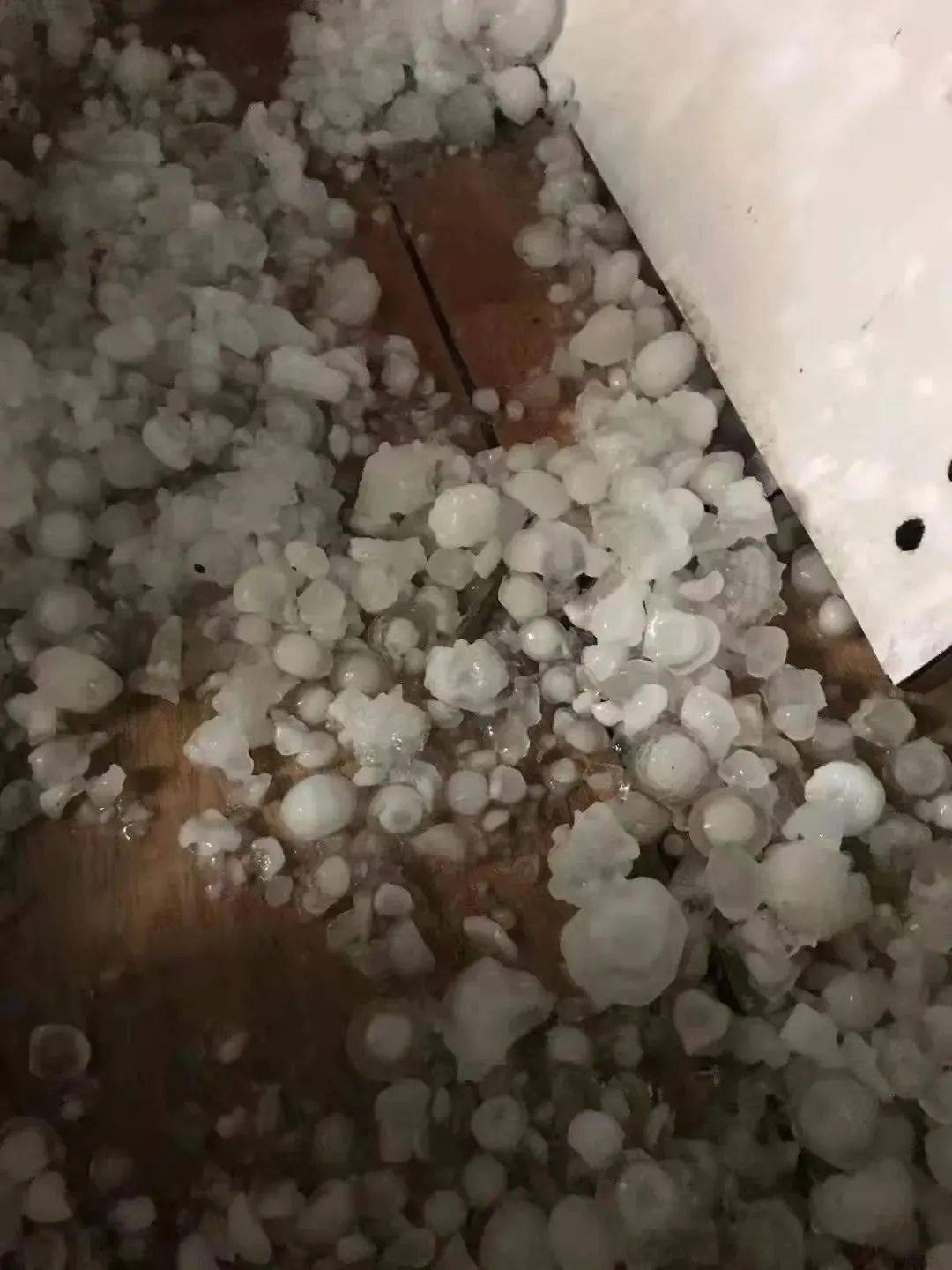 金普新区部分街道也出现冰雹,最大直径2厘米左右.