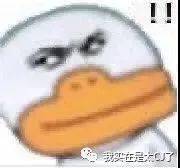 夫妻俩|这对cp又让谁的dna动了？