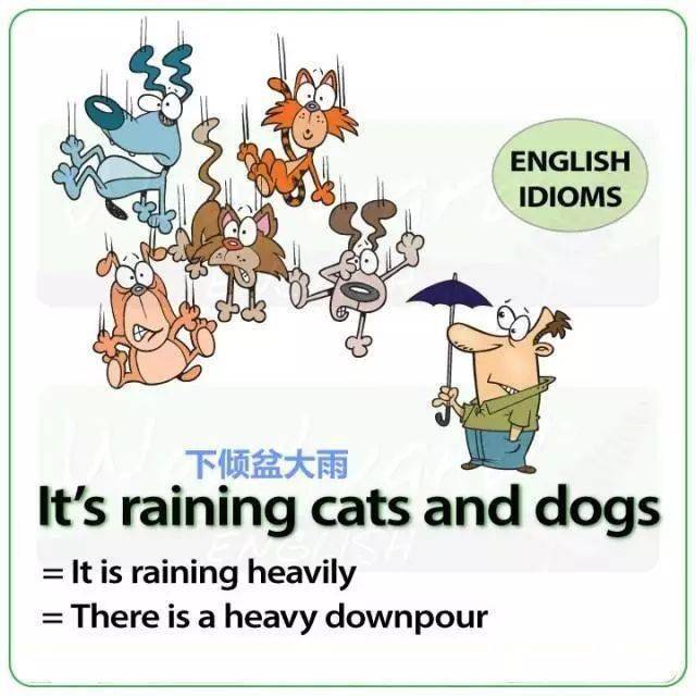 国内天气用英语怎么说