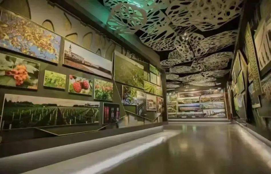 此条线路上包含众多景区,一路上你可以到伊美区参观森林博物馆,探寻