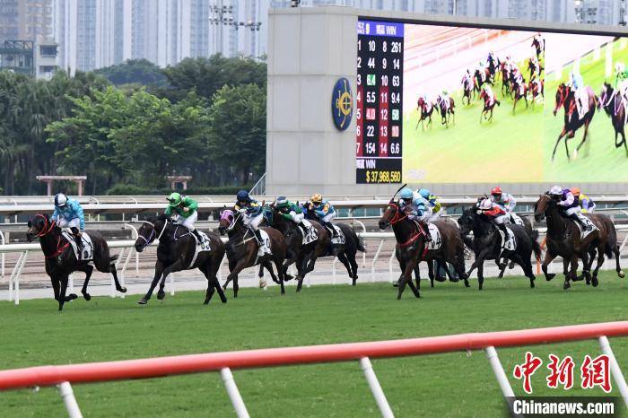 香港|香港赛马会国庆赛马日赛事 骑师与马匹力争佳绩