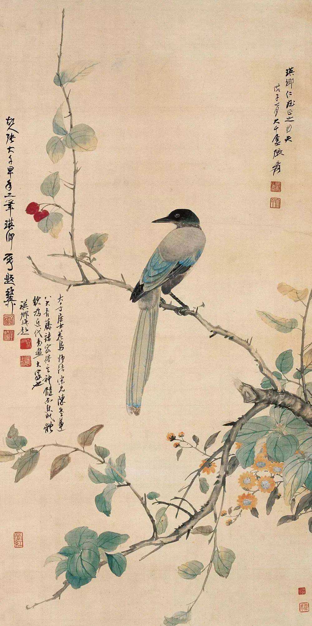 珍藏|張大千花鳥畫(100幅)_工筆