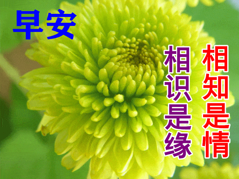 早安,祝你今天好心情,工作顺利,生活甜美!