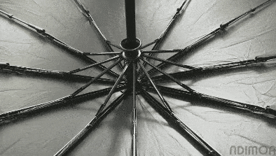e76fb3c1549242c2a24ea950f30e8b10.gif