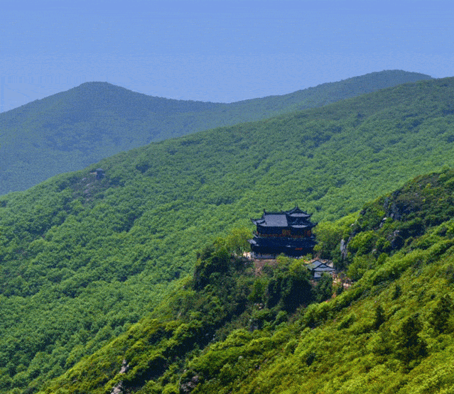 来大阳山植物园聆听秋天的声音
