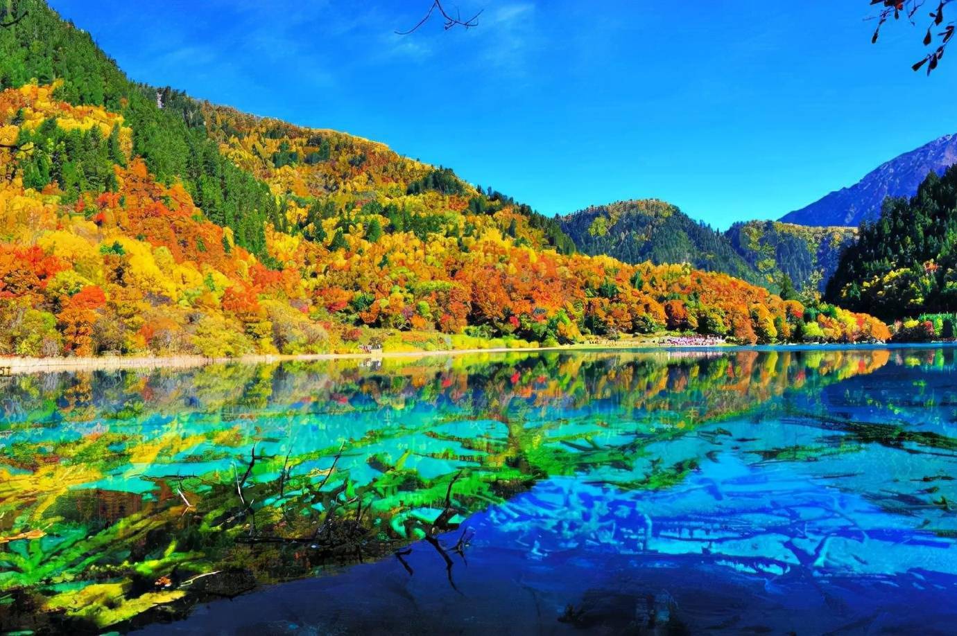 九寨沟的秋天,梦幻十足,恍若人间仙境,让人流连忘返