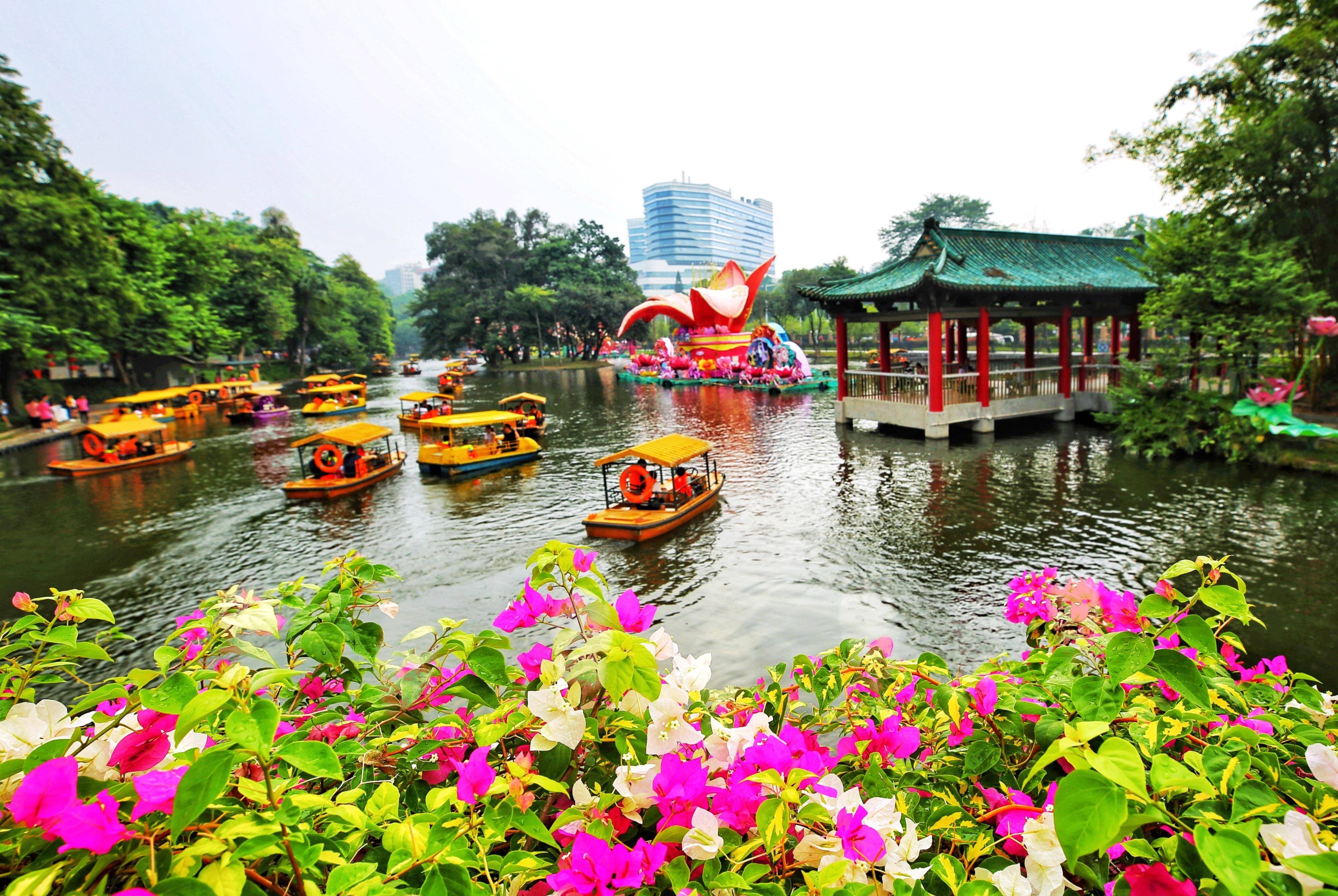 10月1日,广州海珠湿地公园,游客在硫华菊和百日草花海中游玩.