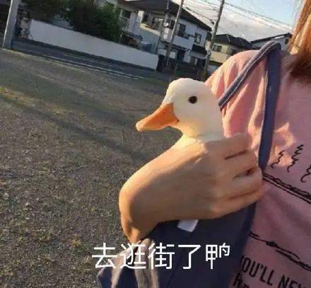 拍一拍表情包教程 a0eef7ad894d40929e213786956ddf0b.jpeg