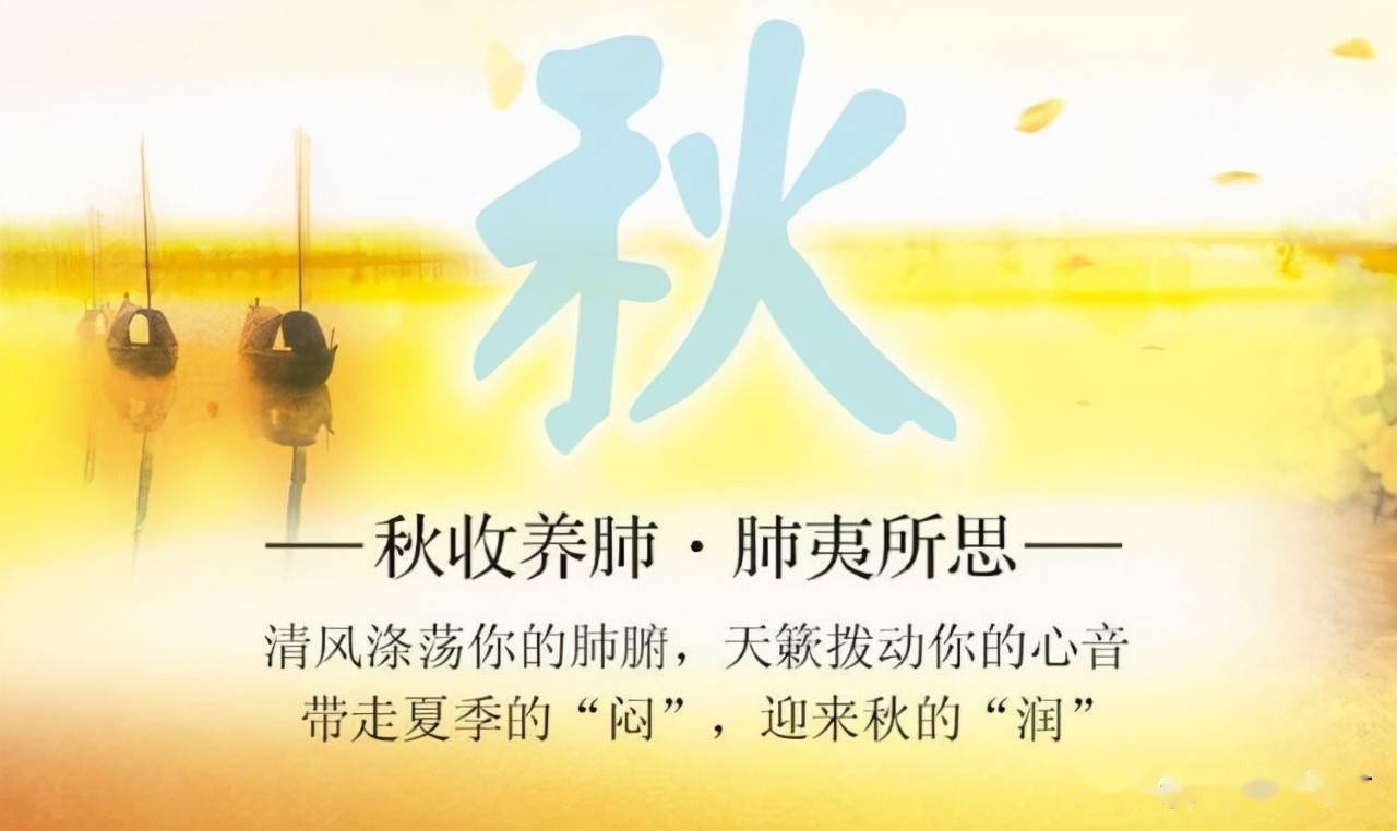 三参五味茶,补肺气养肺阴,秋季呵护您的肺健康