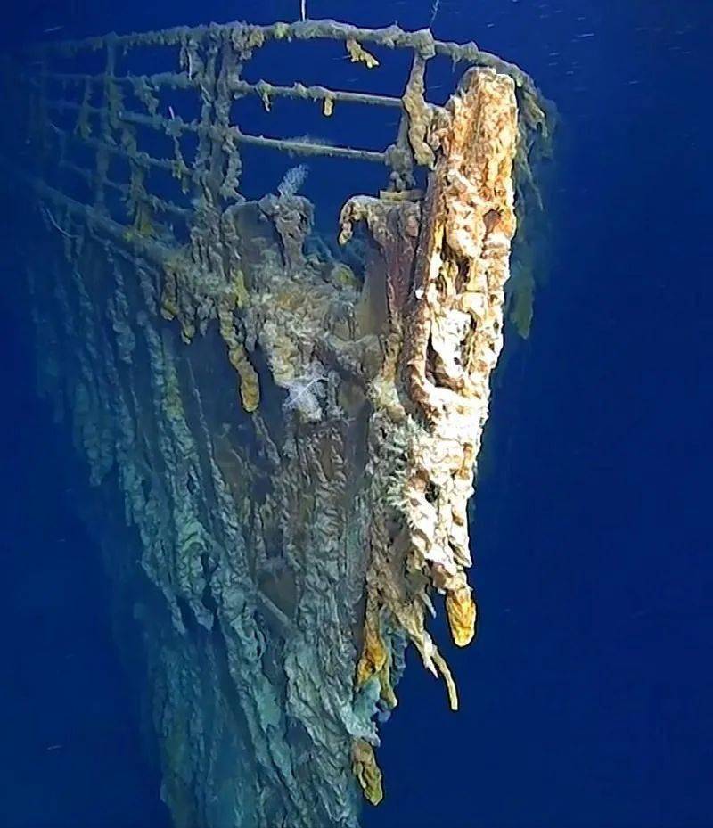 泰坦尼克号乘客的尸骨图片