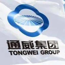 通威集团入围2021民企500强_企业