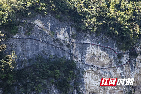 小红人逛张家界丨在张家界大峡谷感受“身临奇境”，10岁小孩也敢攀岩走壁