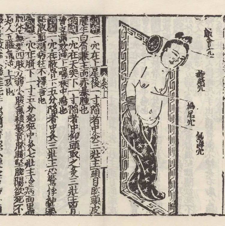 秘藏 清 古書（針灸聚英）手抄醫藥地理經書類書籍 一套30