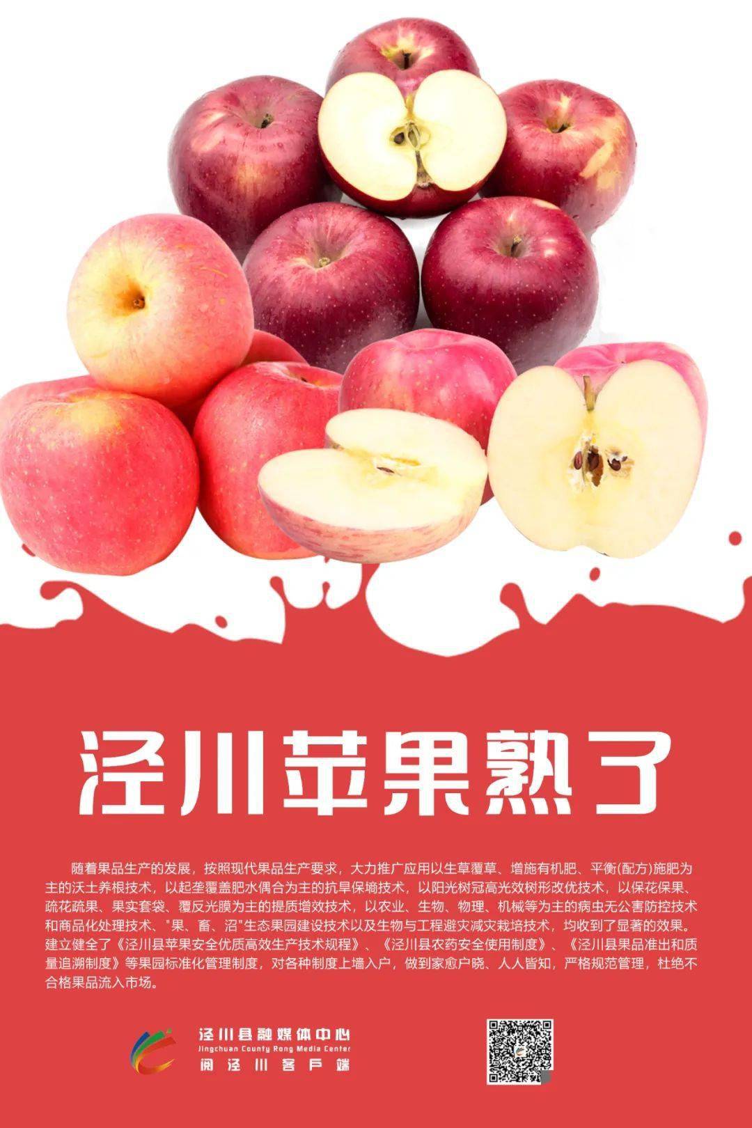 【原创海报】泾川苹果熟了!