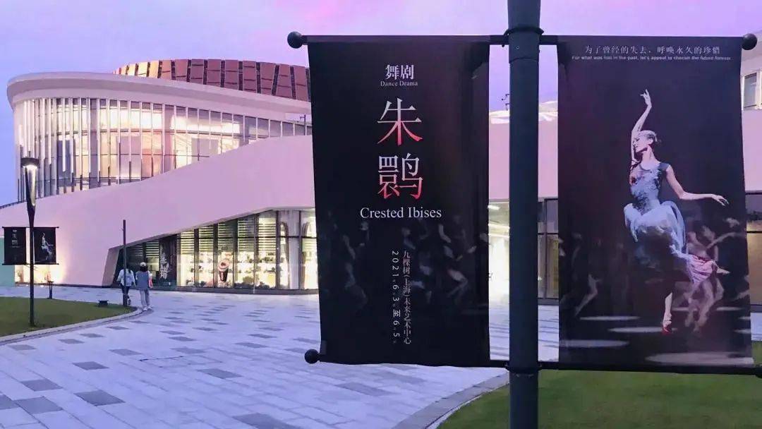 职业 【喜欢上海的理由】朱洁静：上海，开启了我对美对舞蹈的向往
