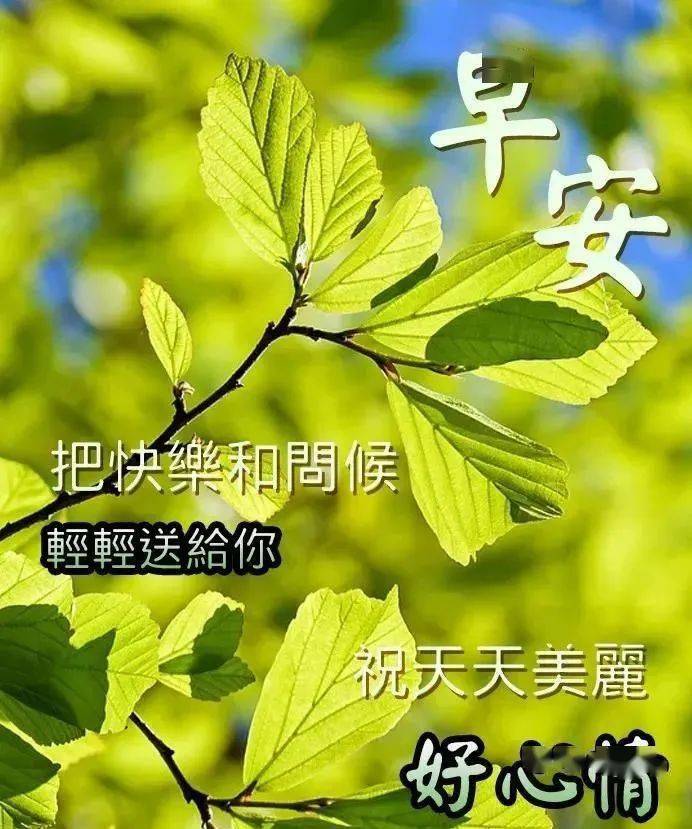 2018最新版早上好图片图片