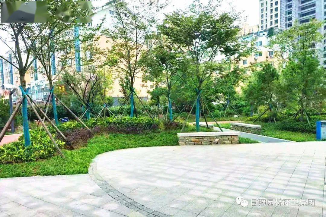 文明视角新合村绿地日照市区再添一处街头绿地