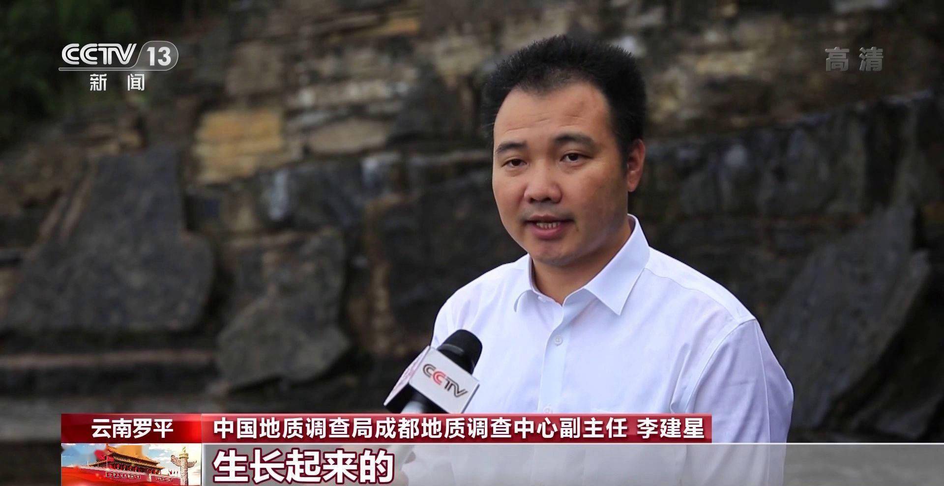 化石|云南禄丰恐龙科考“啃硬骨头”：恐龙化石如何修复？