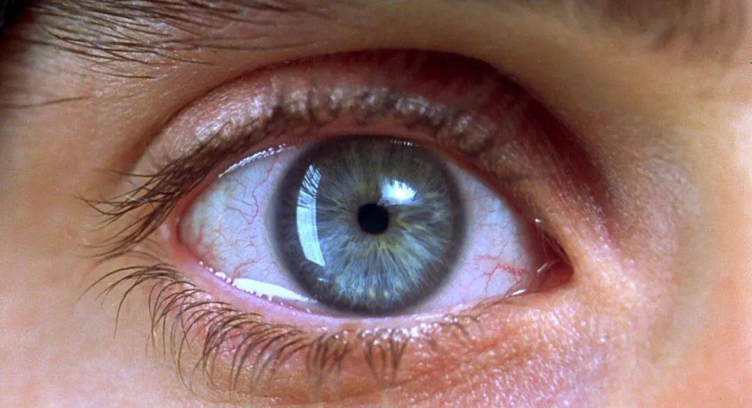 时代|生活在“成瘾”时代，我们都是猎物