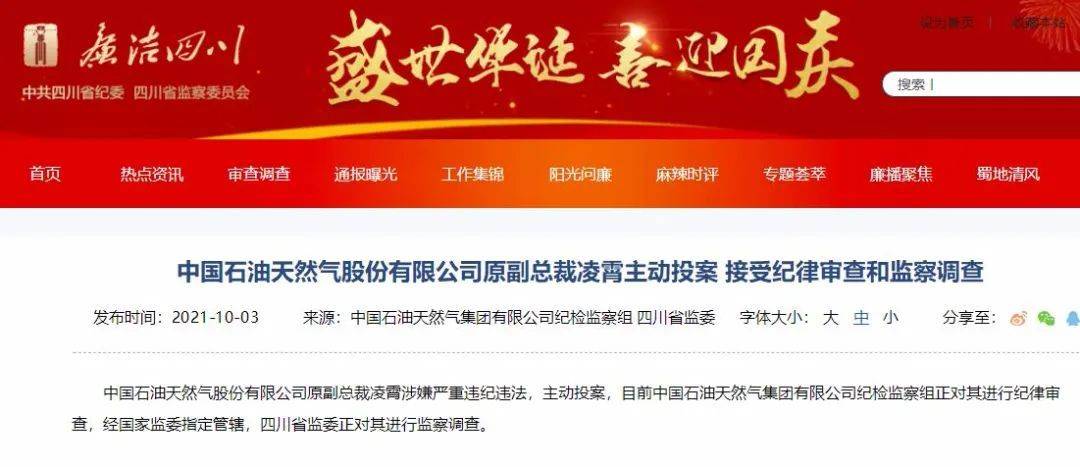 突发 中石油原副总裁凌霄主动投案 接受审查调查 天然气