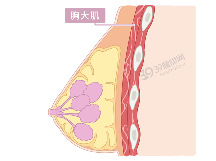 女人歲數上來後,開始胸下垂,鬆弛?先別瞎折騰,試試這3個動作_鍛鍊