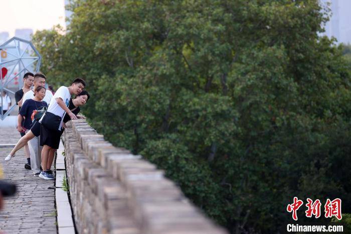 民众登上南京明城墙赏风景过假期