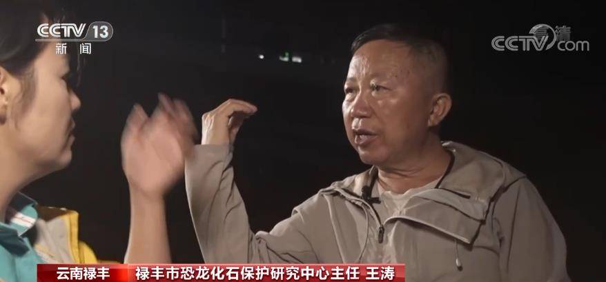 恐龙|一眼穿越亿万年 重返侏罗纪｜“禄丰恐龙头朝东方”之谜，专家这样分析……