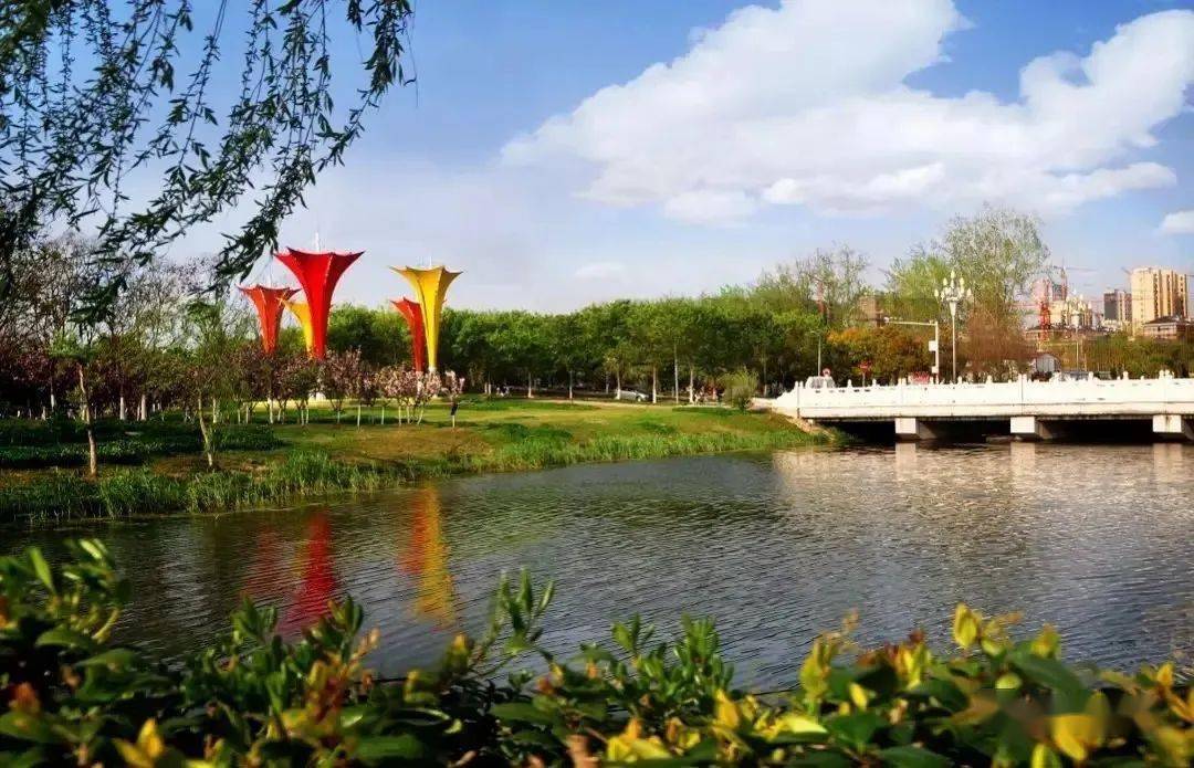 我的睢宁我的城67公园的颜值