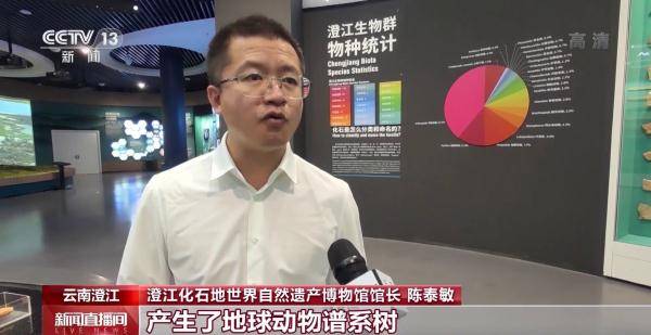侏罗纪|云南禄丰恐龙科考工作进入“啃硬骨头”阶段 恐龙化石是如何修复的呢？