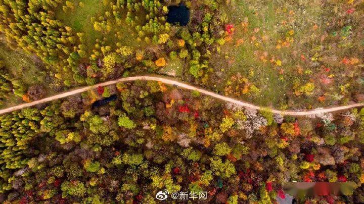 吉林 新华网送你一份吉林舒兰秋景限定壁纸