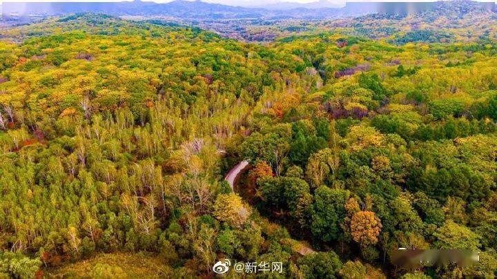 吉林 新华网送你一份吉林舒兰秋景限定壁纸