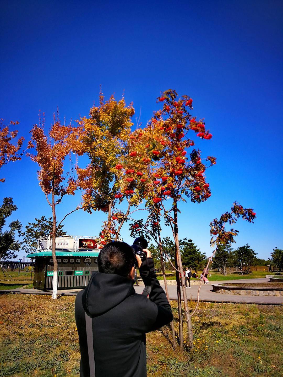 尾声|如诗如画 冰城秋意正浓！