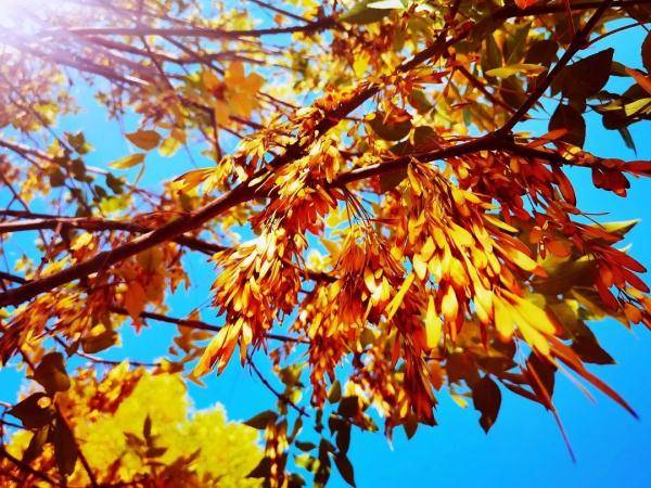 乌鲁木齐市|寒露至，秋更浓，幸福不过有人为你添衣