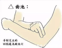 饮食|寒露到！专家教你这样养生