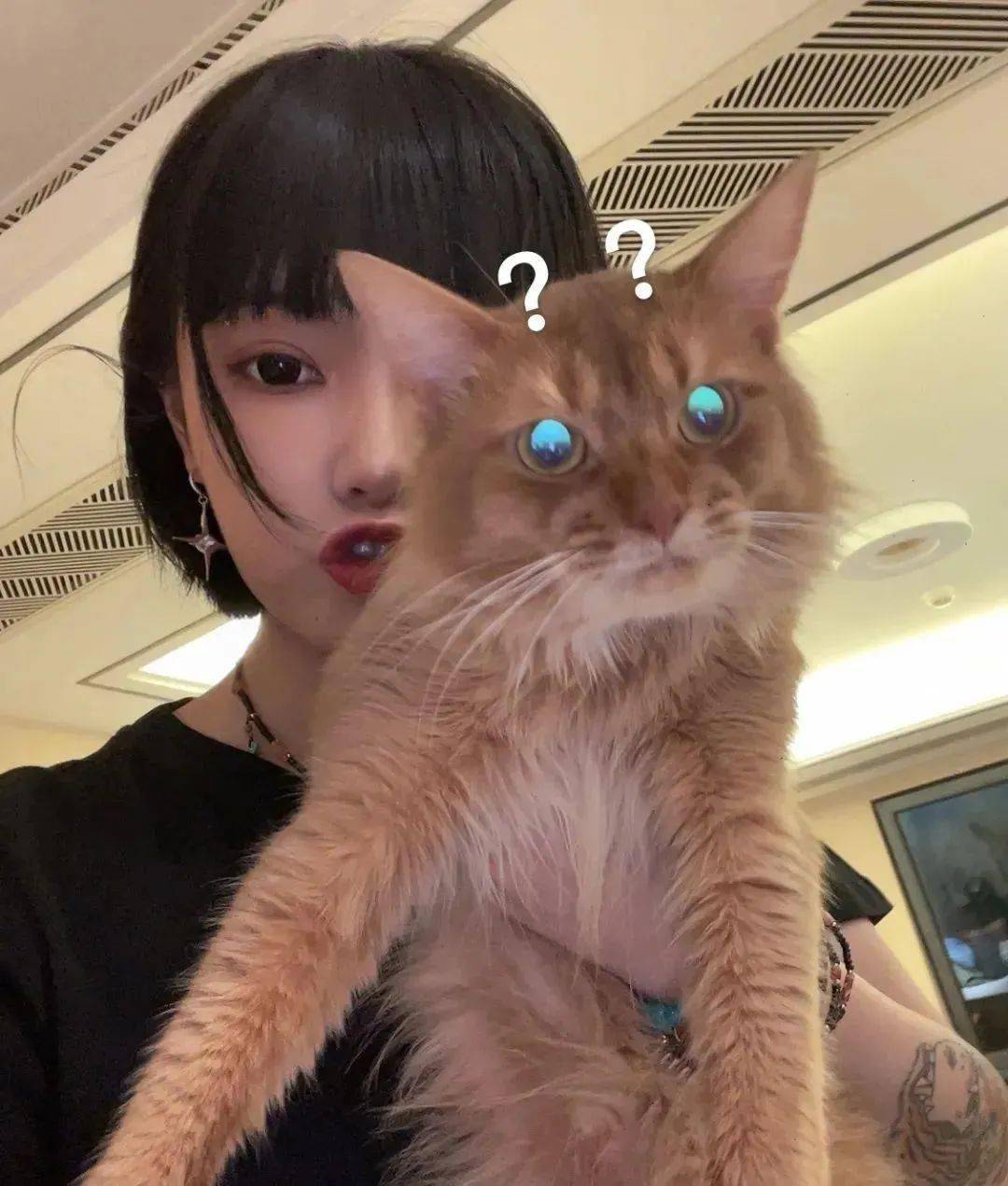 首歌|我的歌红了，但我爸从没听过