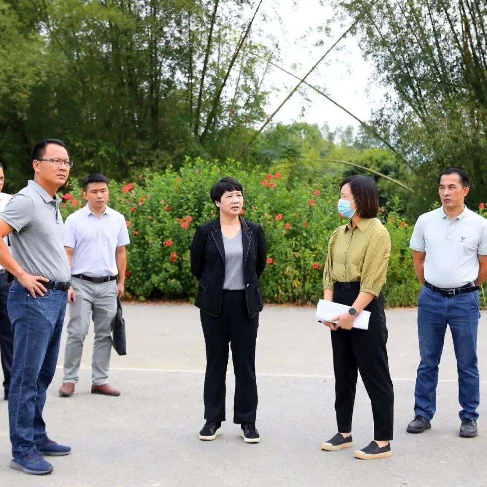 李红兰:细化完善方案 有序推进民宿大会筹备各项工作_江州区