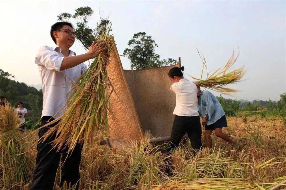 陆良县有多少人口_陆良县挖宝村 人人入股户户分红