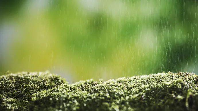 雨的四季原文 979afb456eab4fa2a18f074968f6ed3a.jpeg